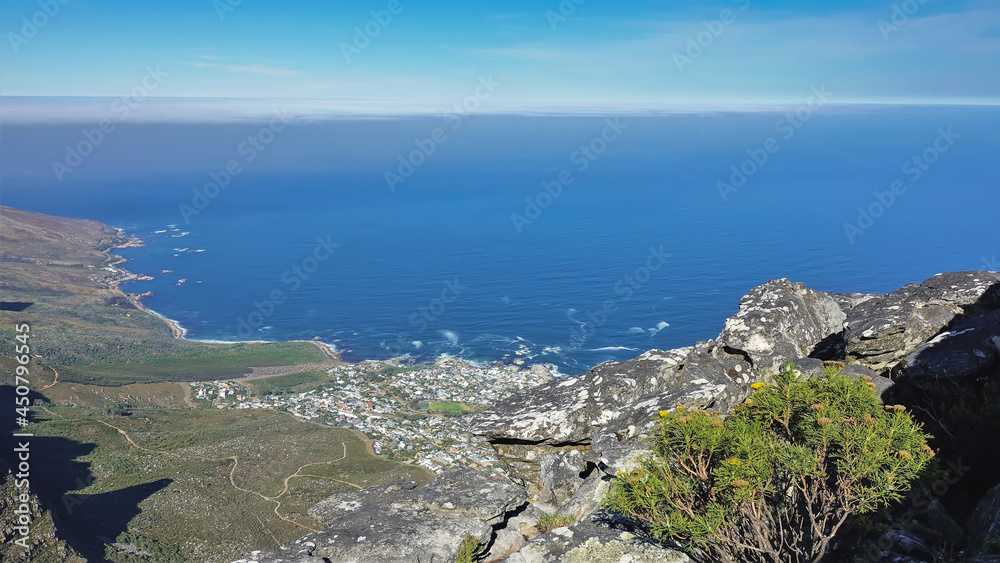 View of the Atlantic Ocean coast from the top of Table Mountain. Cape Town. The coastline is uneven. The city district is visible. Blue water, azure sky. In the foreground - boulders, a fynbos bush.