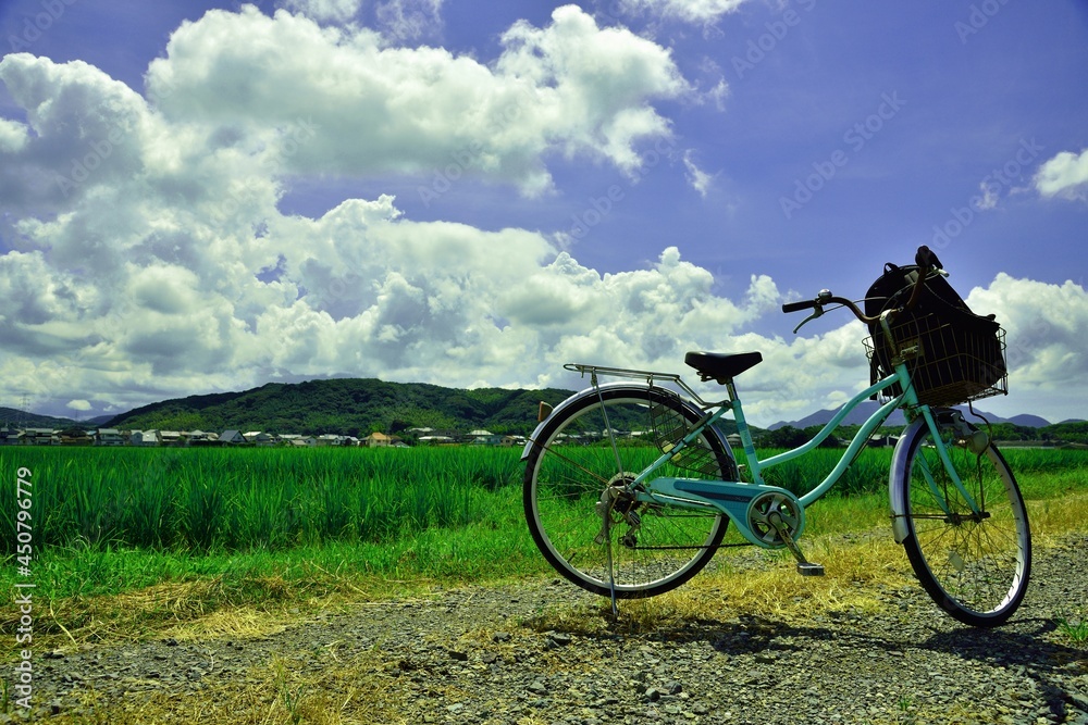 Fototapeta premium 夏の空、あぜ道を自転車で散歩