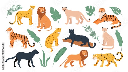 Fototapeta Naklejka Na Ścianę i Meble -  Big feline family animals, tiger, lion, cheetah and leopard. Wild cats from savanna and tropical forest. Jaguar and panther flat vector set