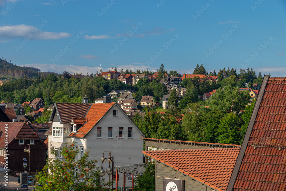 Here a overview cityscape. Old wooden houses and shops