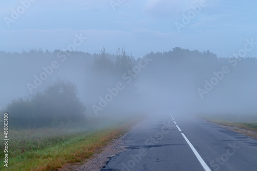 fog on the road near the forest and along the field at dawn