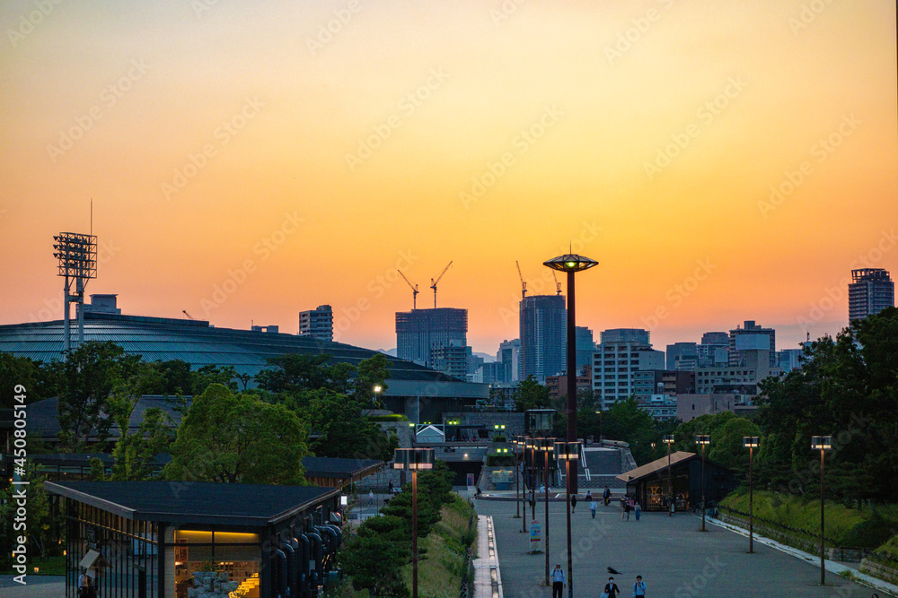 Fototapeta premium 夕暮れの大阪の公園