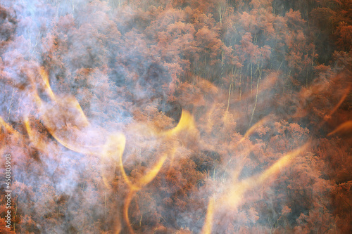 forest fire background landscape, abstract fire and smoke in the forest, drought trees are burning