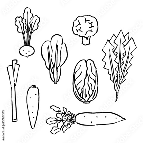 墨絵風の冬野菜のベクターイラストセット