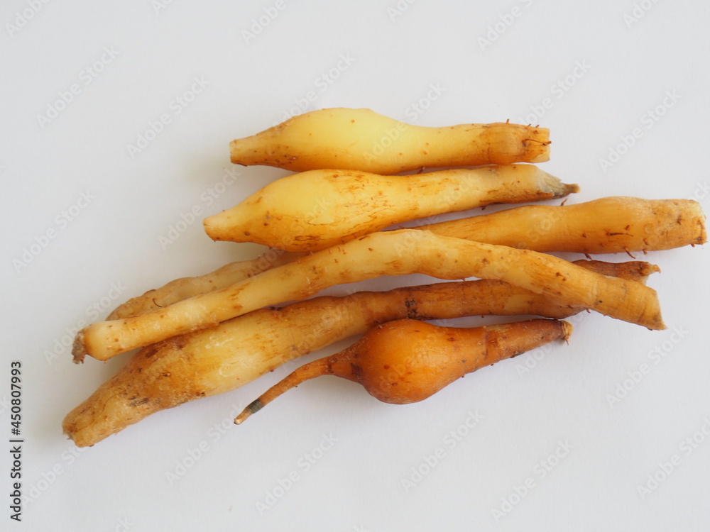 A fresh Kaempferia or Chinese Ginger herb isolated on white background A fresh Kaempferia or Chinese Ginger herb isolated on white background