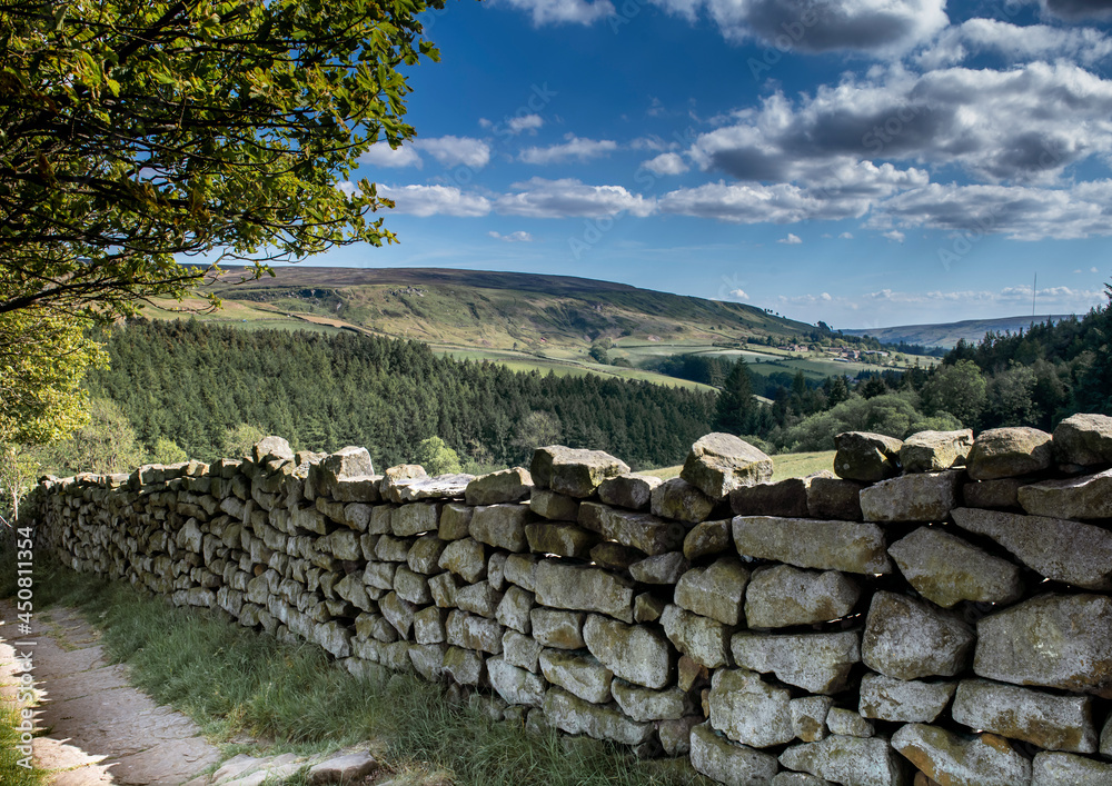 landscape with drystone wall in the North Yorkshire moors