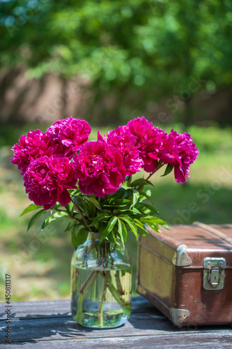 Beautiful bouquet of flowers red peonies in a glass jar with water and old suitcase on a wooden table in garden