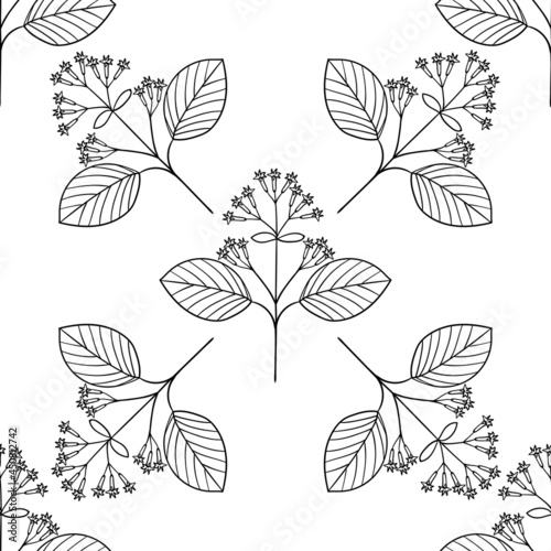 quina, seamless b-w dd ww herb isol