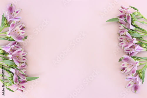 Fototapeta Naklejka Na Ścianę i Meble -  Top view image of pink and purple flowers composition over pastel background .Flat lay
