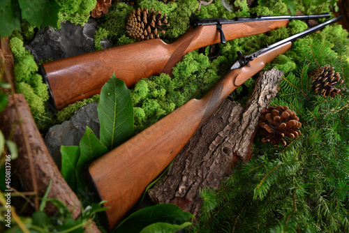 Gewehr, Jagdgewehr antik im Wald photo