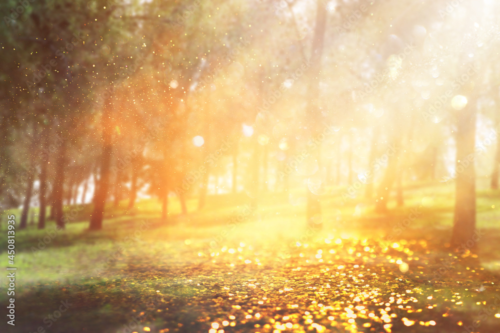 Fototapeta premium blurred abstract photo of light burst among trees and glitter golden bokeh lights