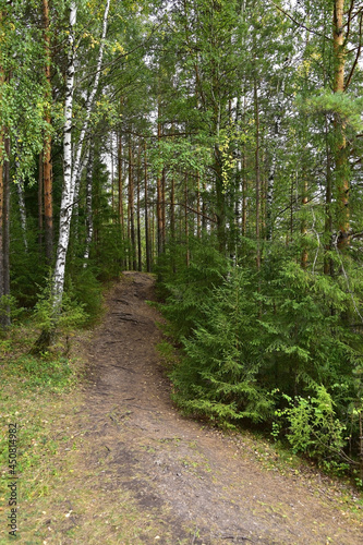 Path to Vakutin stone photo