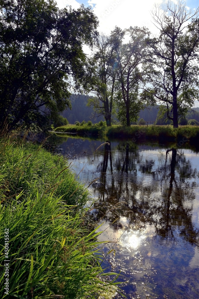 Irgina river in the valley of Shypitsino tract. Irgina river in the valley of Shypitsino tract.