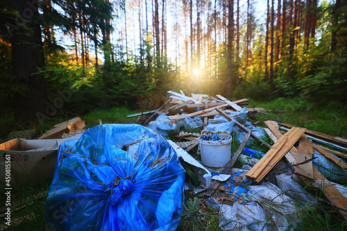 Canvas Print forest garbage dump ecology concept, pollution nature protection of forest from