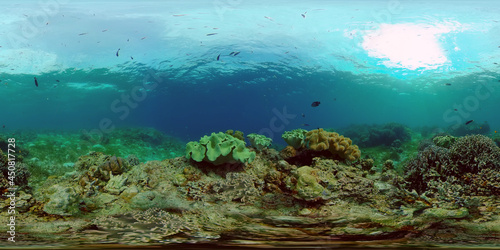 Fototapeta Naklejka Na Ścianę i Meble -  Tropical fishes and coral reef at diving. Beautiful underwater world with corals and fish. 360 panorama VR