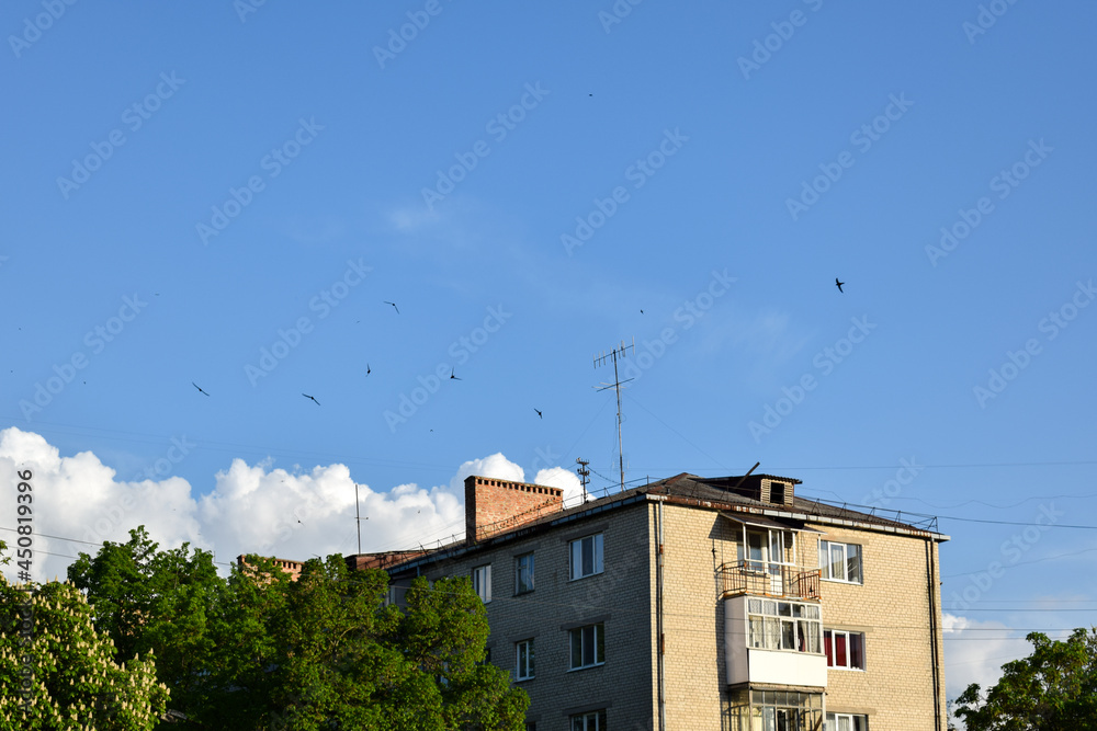 House in the city on blue sky background