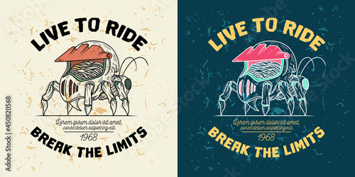 illustration of an insect carrying a motocross helmet on its back, this image is suitable for use as a motocross event logo or motocross community t-shirt design