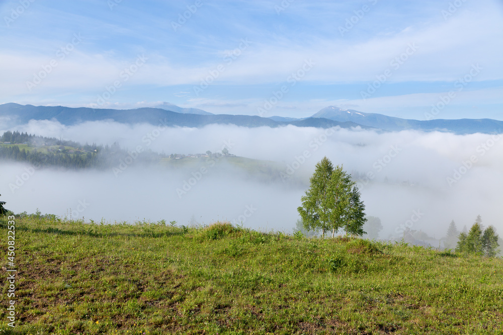 View of the mountains Petros and Hoverla from the mountain pasture, deep fog. Ukraine, Carpathians.