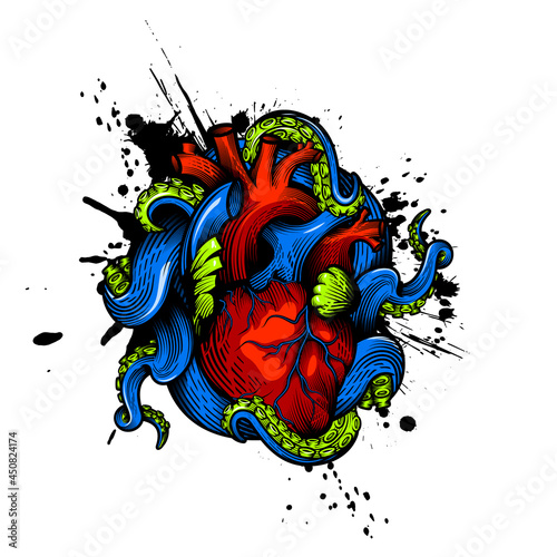 Human heart with tentacles design. Hand drawn vector illustration of octopus tentacles embracing anatomical human heart in engraving technique with red paint splash isolated on white.  