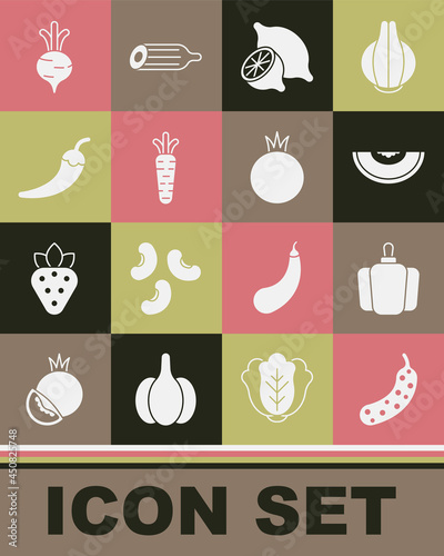 Set Fresh cucumber  Bell pepper  Melon fruit  Lemon  Carrot  Hot chili pod  Beet and Tomato icon. Vector