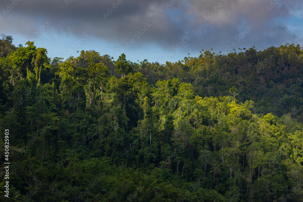 Sunset lights slip through the clouds, illuminating the rainforest growing on Gam Island, Raja Ampat, West Papua, Indonesia