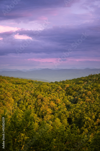 Golden  yellow  sunlit forests under a blue  purple and cloudy sunset sky