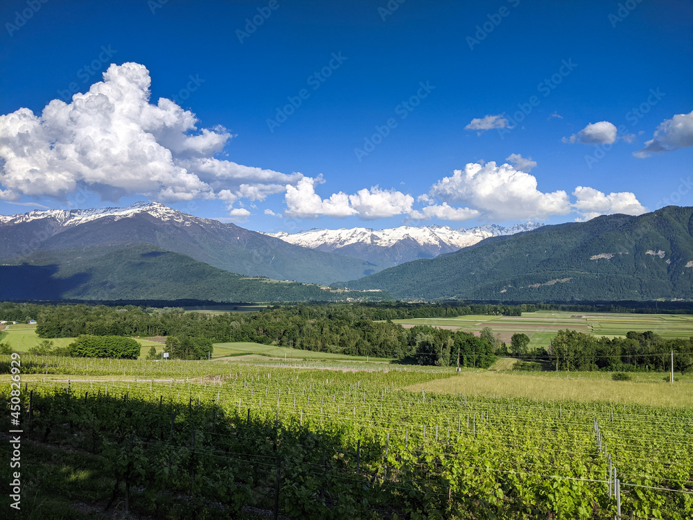 A scenery of mountain alps with vineyard and bleu sky, cloud with greenery of trees and nature in a French region called 'Savoie' during sunny spring season 