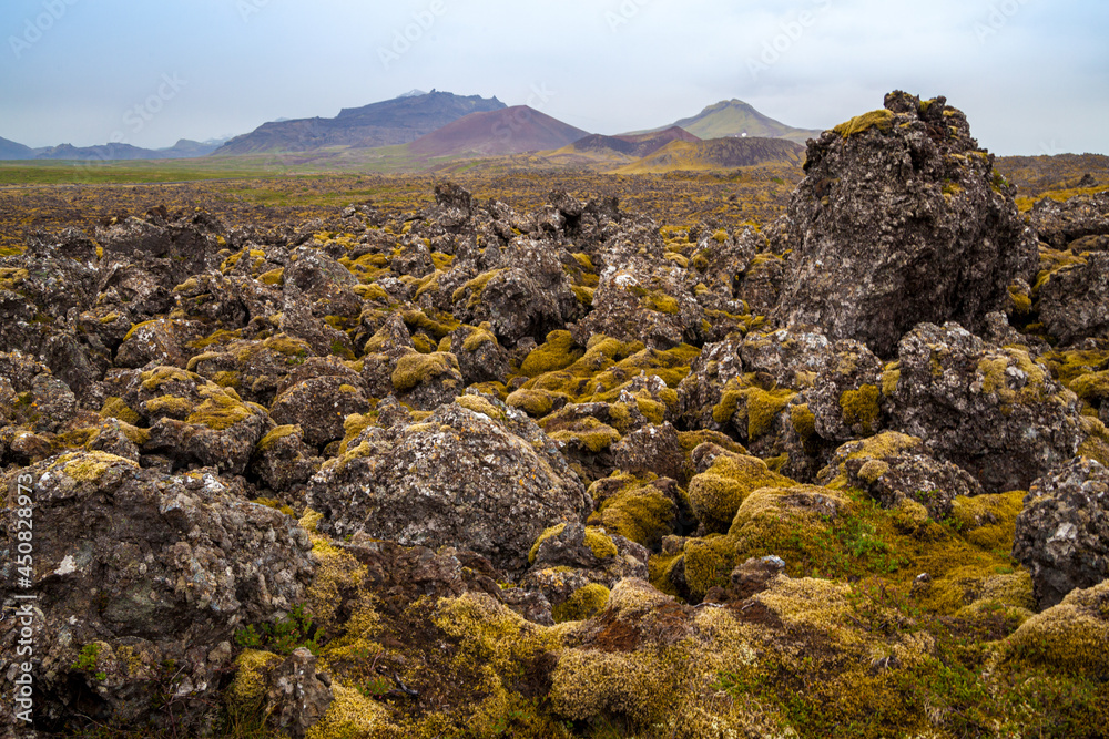 Iceland lava rocks landscape with orange moss and old volcano mount at horizon 