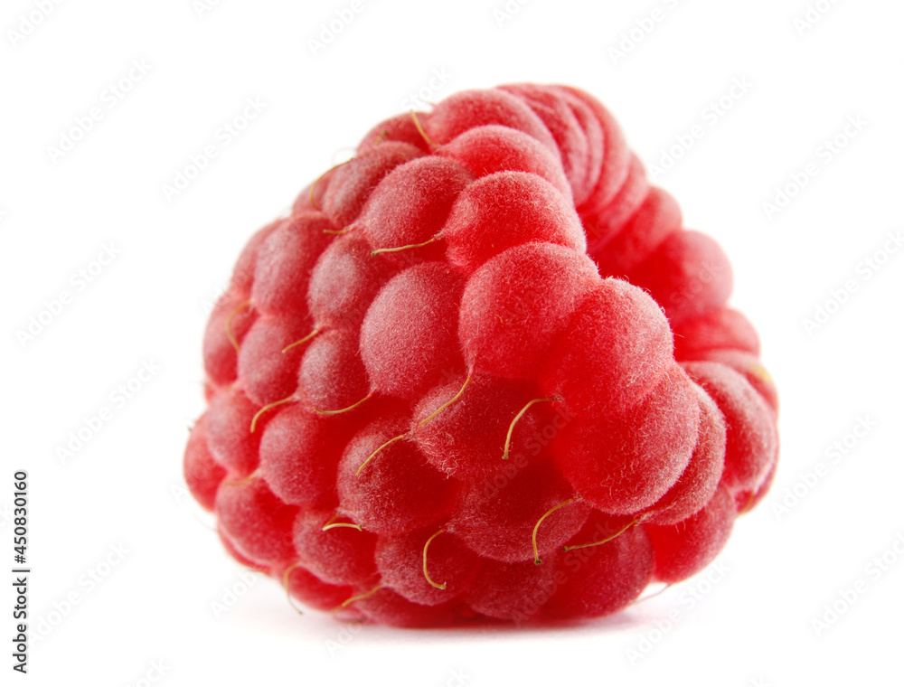 The beautiful ripe raspberry berry is isolated on a white background. Full clipping path. The beautiful ripe raspberry berry is isolated on a white background. Full clipping path.
