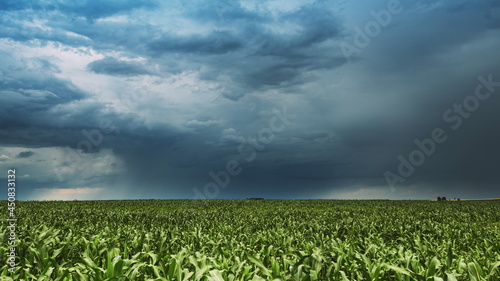 Bad Weather Cloudy Rainy Sky. Dramatic Sky With Dark Clouds In Rain Day. Storm And Clouds Above Summer Maize Corn Field. Agricultural And Weather Forecast Concept