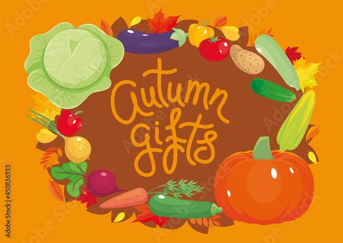 Fototapeta Naklejka Na Ścianę i Meble -  Autumn gifts poster with fresh vegetables. Vegetarian natural healthy food, vitamin-rich ingredients. Vector illustration, cartoon objects, icons, simbols. Banner, flyer for harvest festival, sale