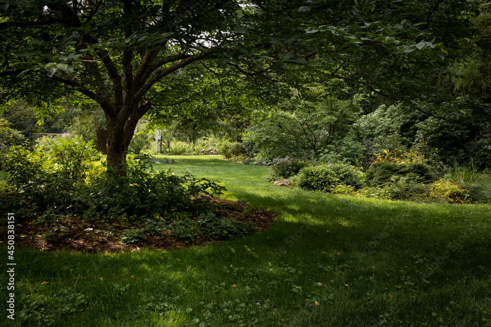 Fototapeta premium Yard