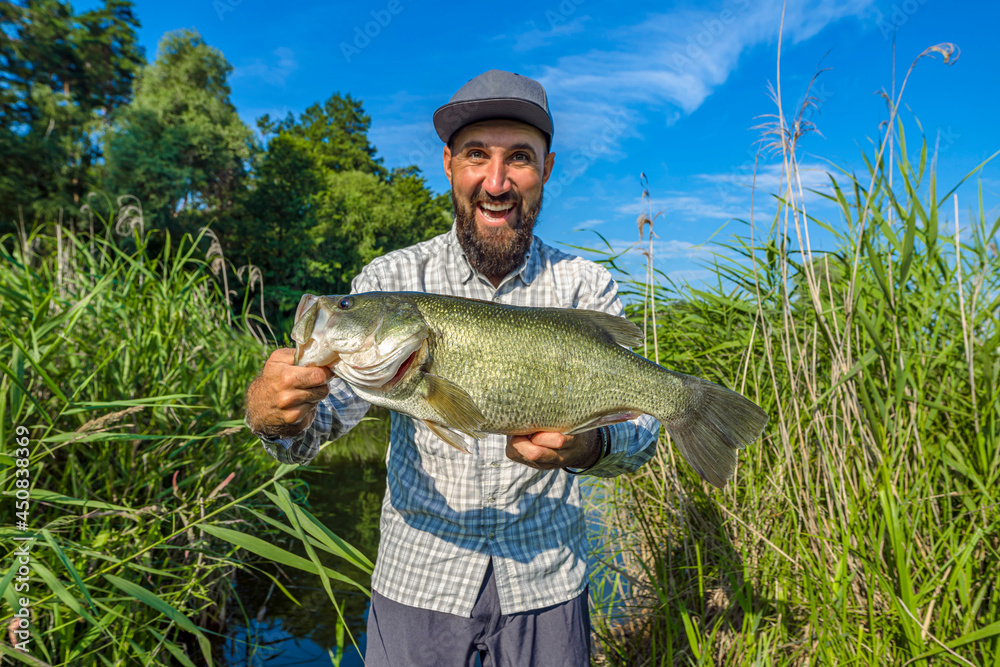 Ταπετσαρία Bass fishing