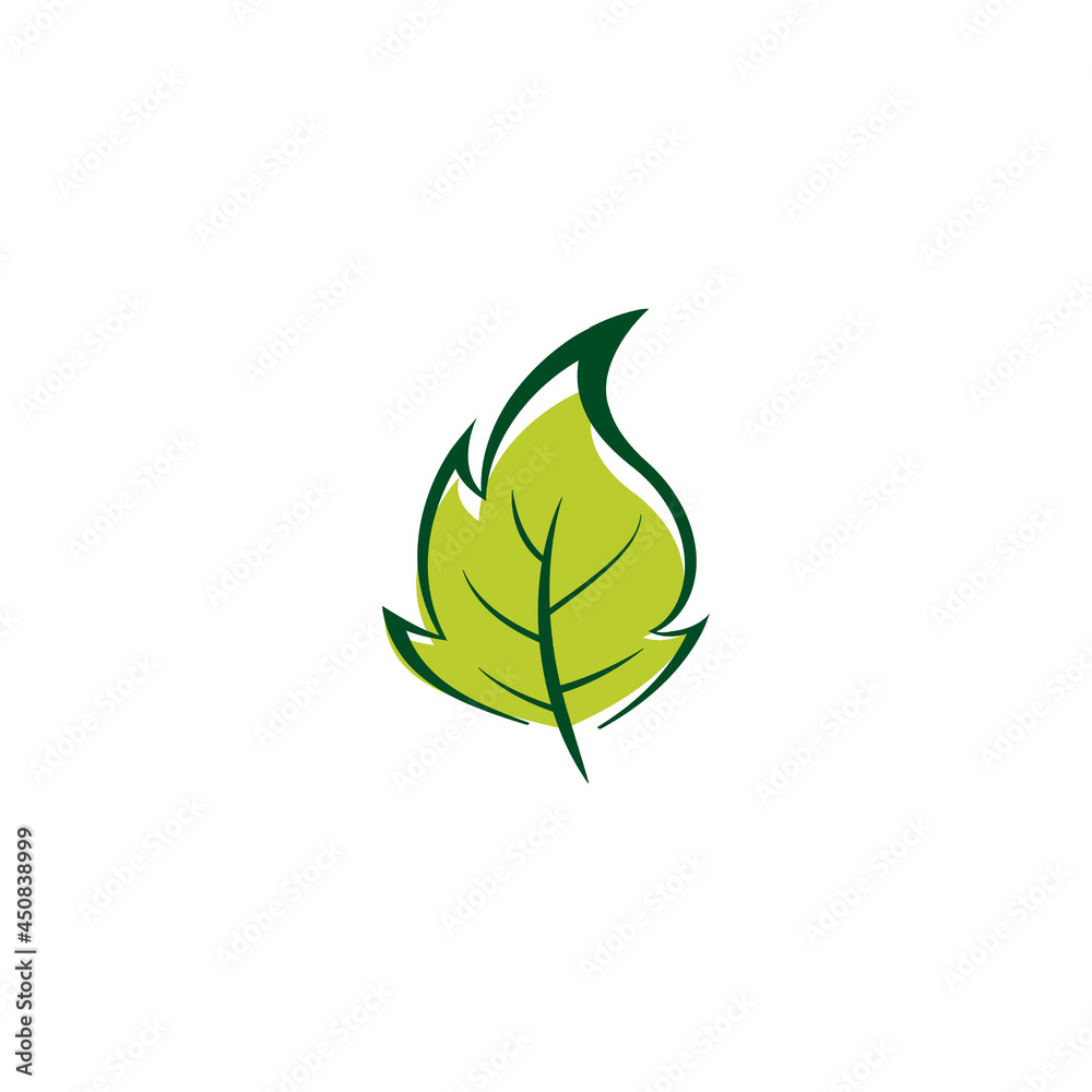 Color leaf icon design illustration template Color leaf icon design illustration template