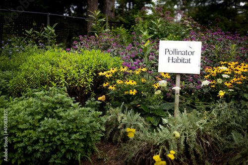 Pollinator garden