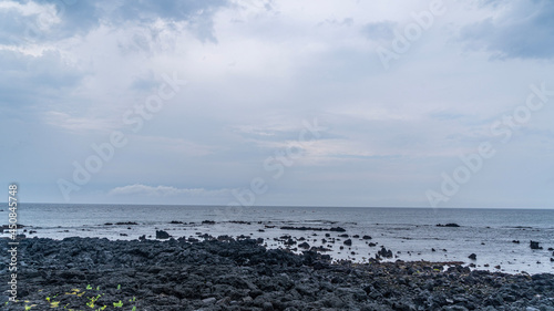 seagulls on the beach © FreeFilm