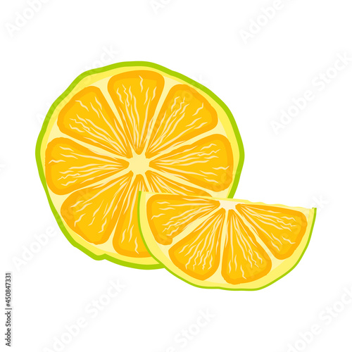 Lemon slice icon isolated on white background. Fresh sour lime. Raw citrus fruits. Cute yellow lime slices. Element for design menu cafe, restaurant, label and packaging. Stock vector illustration