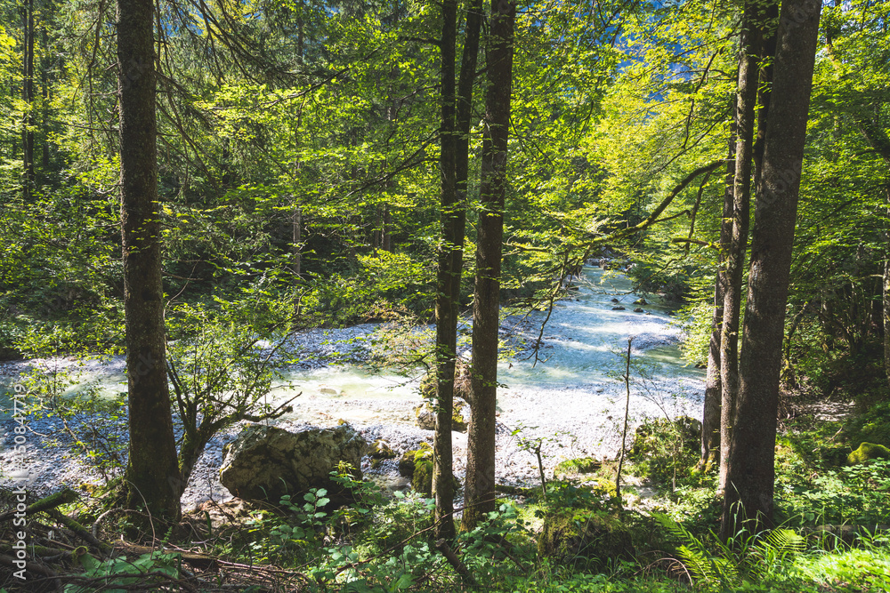Scenic forest landscape scenery Bluntautal in Austria, summer time Scenic forest landscape scenery Bluntautal in Austria, summer time