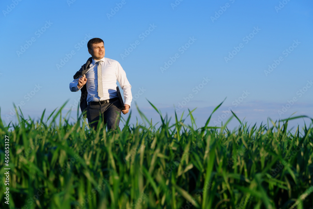 businessman works in a green field, freelance and business concept, green grass and blue sky as background businessman works in a green field, freelance and business concept, green grass and blue sky as background