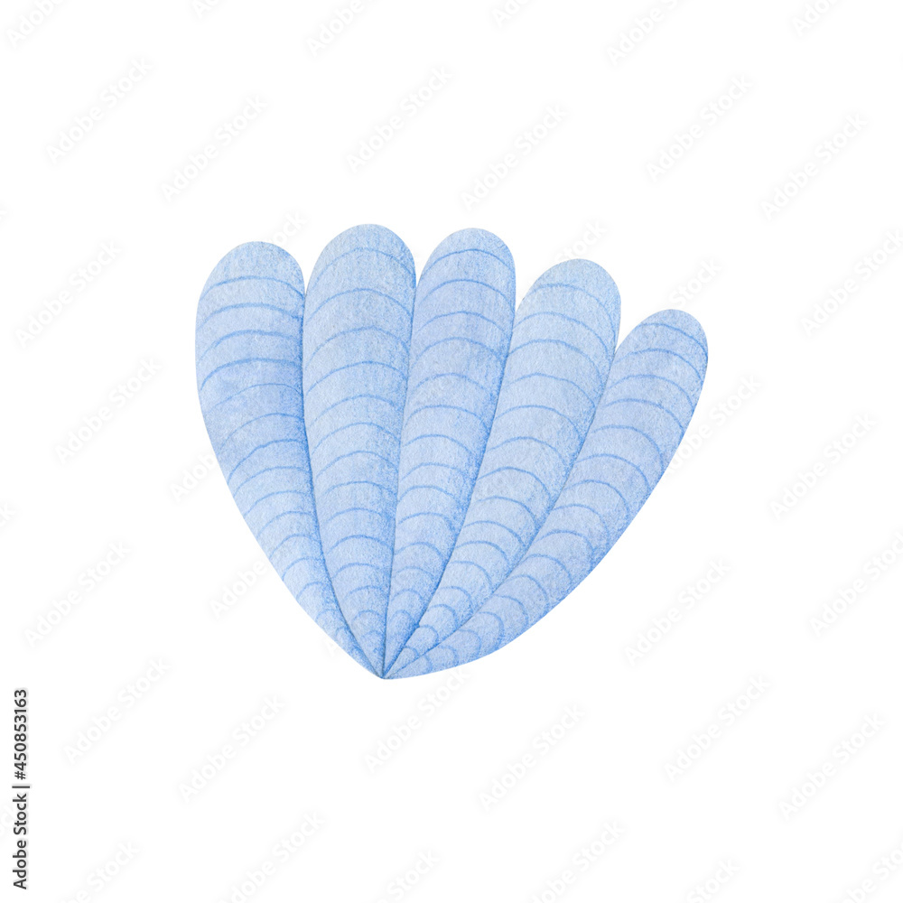 Watercolor illustration of a blue seashell isolated on a white background. Watercolor illustration of a blue seashell isolated on a white background.