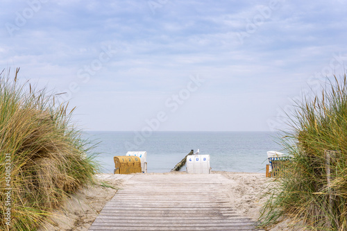 Möwe auf einem Strandkorb, Ostsee