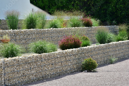 Geneigtes Wohngrundstück, neu terrassiert mit Stahlgitter-Gabionen mit Natursteinfüllung und initiale Hinterpflanzung mit Gartenpflanzen photo