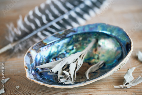 Smudging White Sage in an abalone shell - spirituell room cleansing ceremony