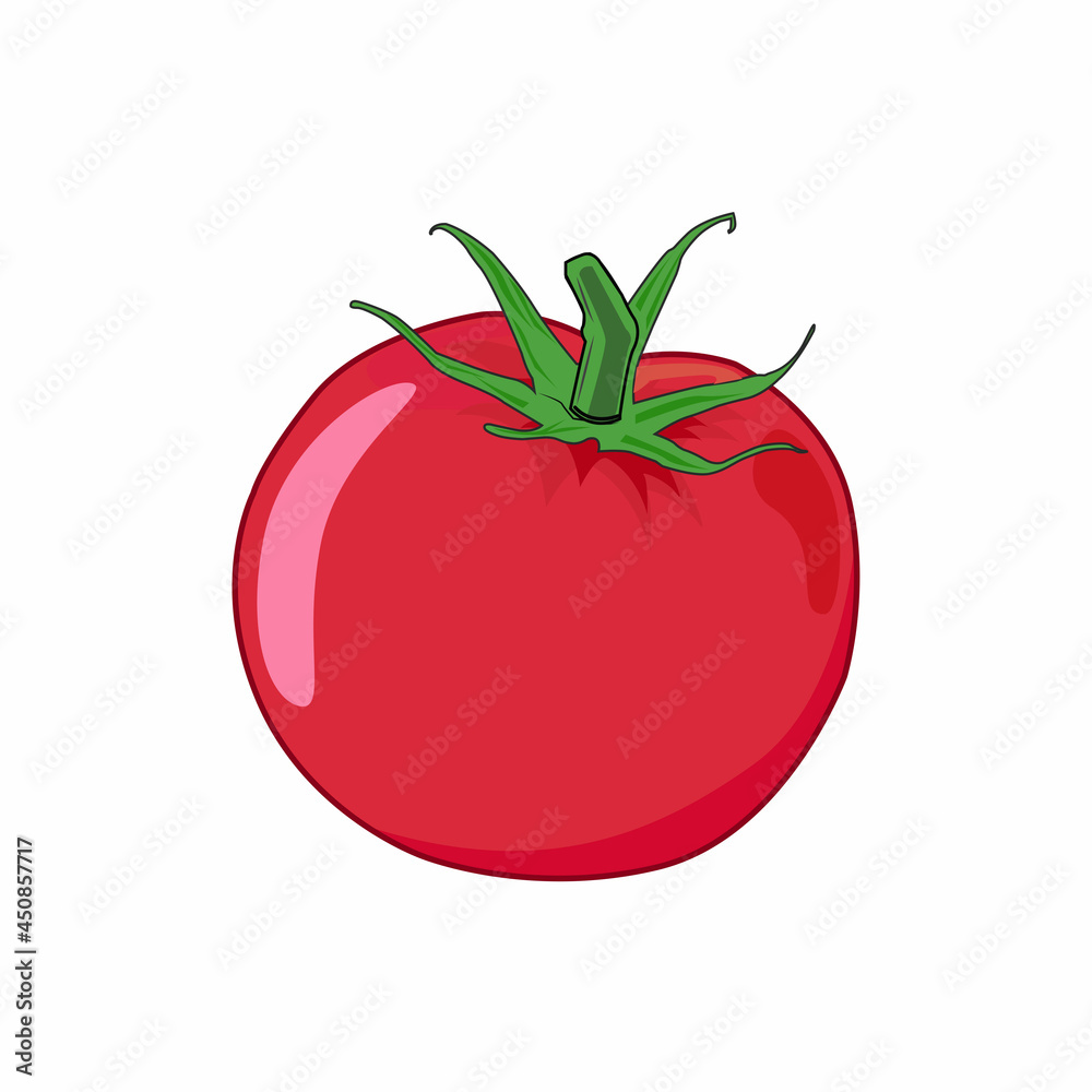 Isolated red tomato vector graphics Isolated red tomato vector graphics