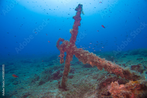 Underwater Landscape of Elba, Anchor of a wreck on the gound of the Mediterranean Sea with fish swarm in the background, close to Porto Ferraio, Diving Elba, Italy © Tobias