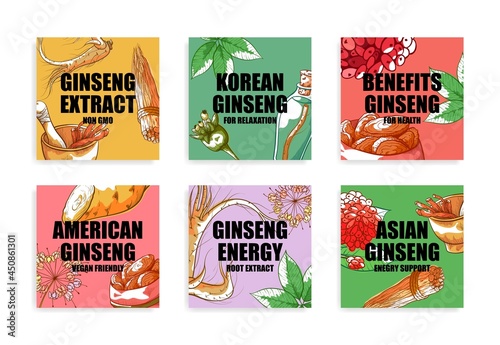 Ginseng squared label template set vector flat illustration Korean traditional medicine herbs