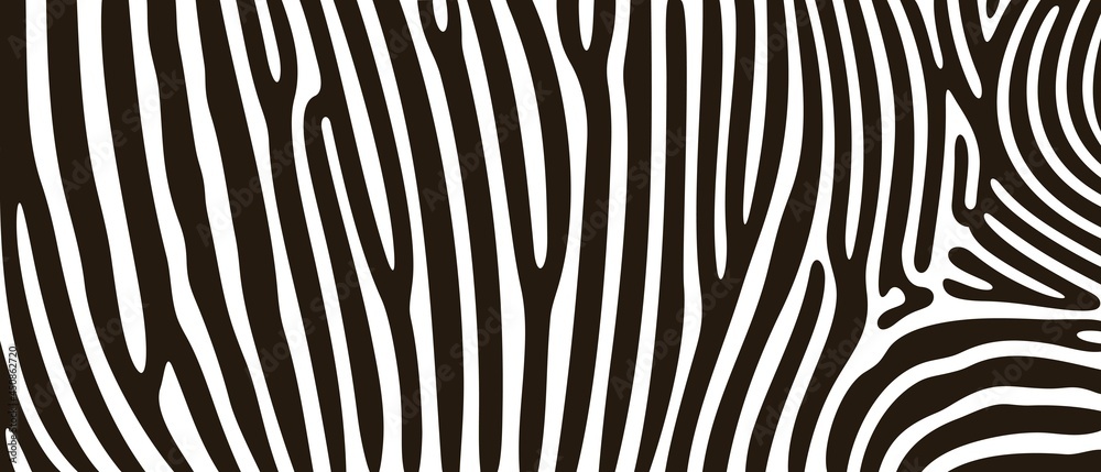Zebra texture logo. Isolated zebra texture on white background