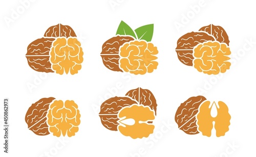 Walnut logo. Isolated walnut on white background. Set