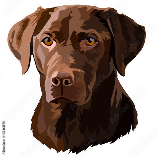 Brown Labrador Retriever Head Vector Illustration