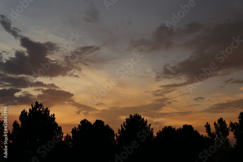 Clouds with silhouette trees in the foreground © georowe